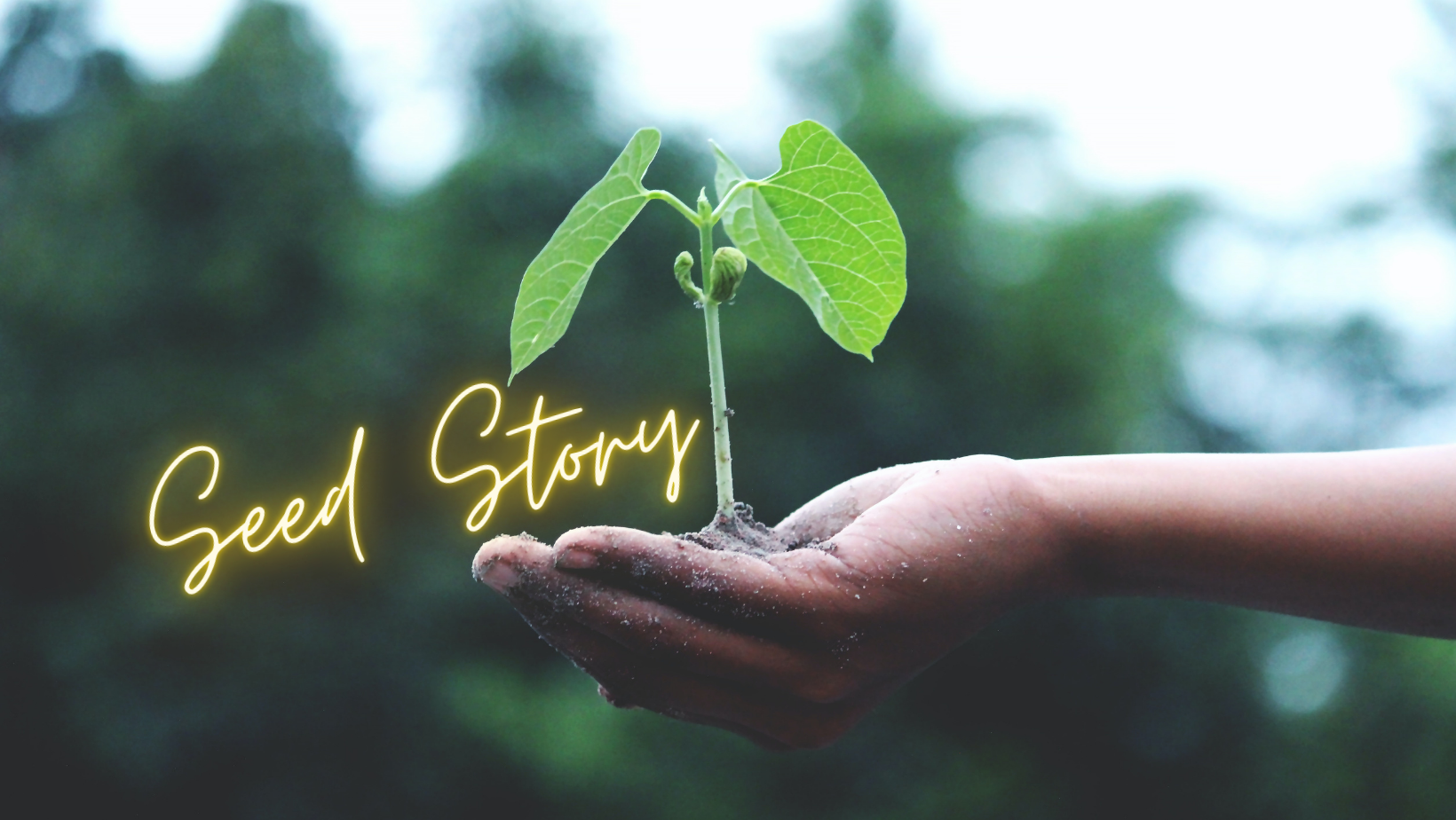 Seed Story FB banner.png